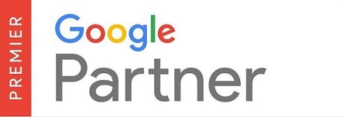 Google Partner 500